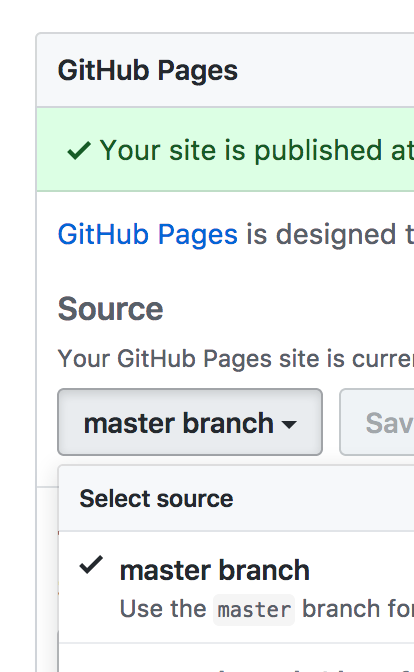 Repo settings on GitHub pages